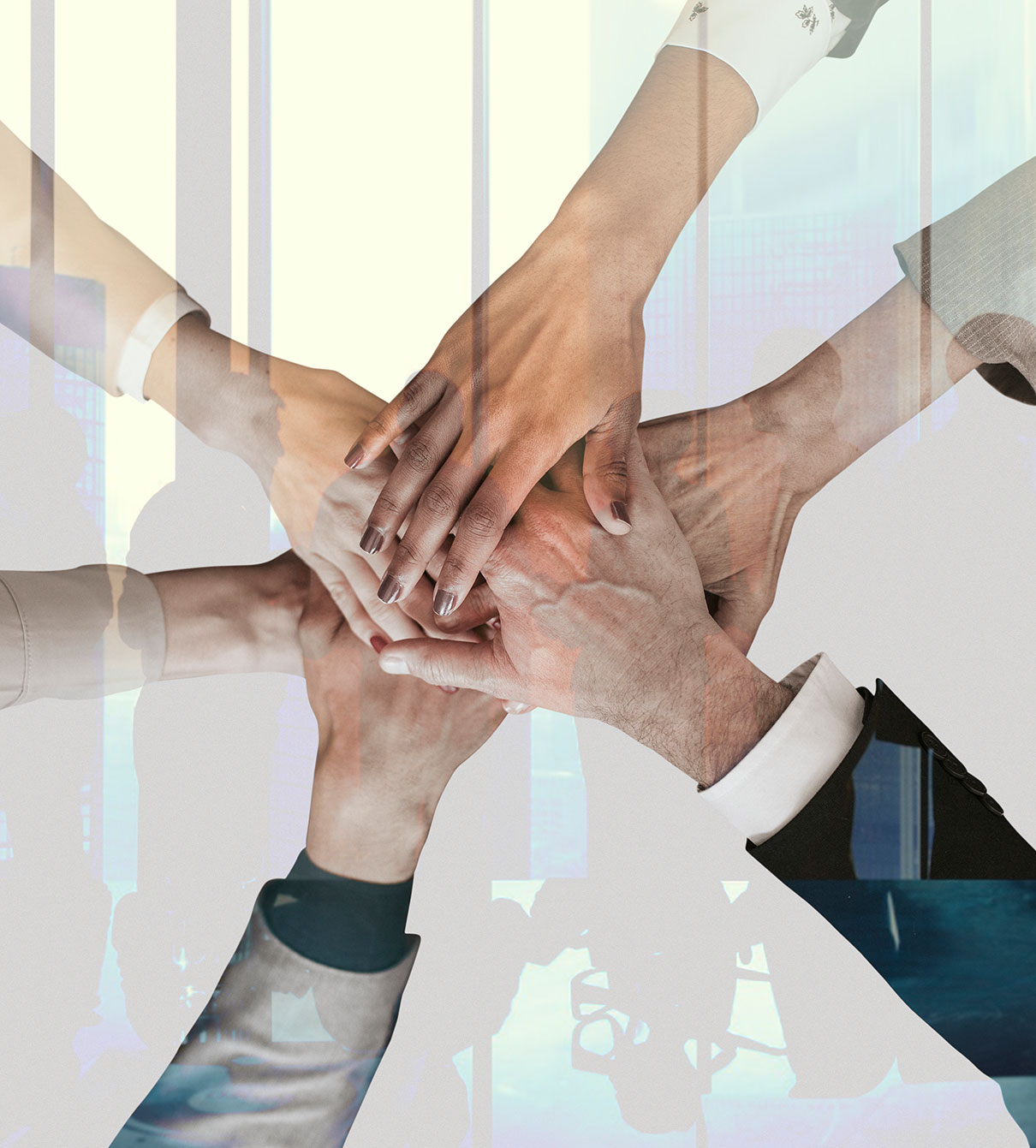 الزريق للتوريدات العمومية