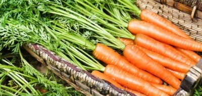 تفريز الجزر