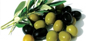 فوائد ثمرة الزيتون