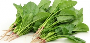 هل السبانخ تؤكل نيئة