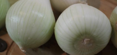 ما فوائد البصل الأبيض