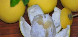 فوائد فاكهة البوملي