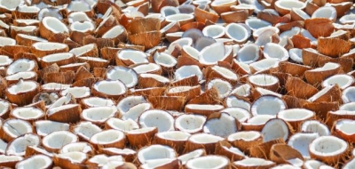 فوائد أكل جوز الهند