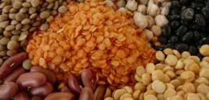 ما هي مصادر البروتينات