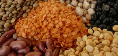 ما هي مصادر البروتينات