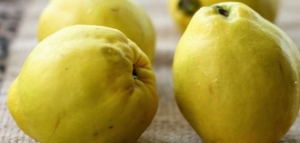 فوائد السفرجل