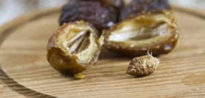 ما هي فوائد نواة التمر