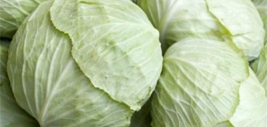 ما فوائد الملفوف الأبيض