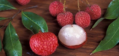 فوائد فاكهة الليتشي