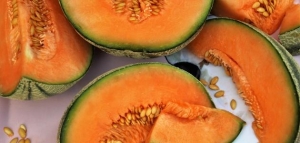 ما هي فوائد الشمام