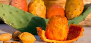 أضرار التين الشوكي