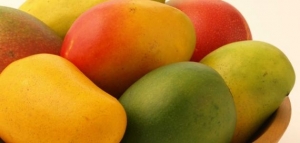 ثمرة المانجو