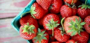 ما هي فوائد الفراولة