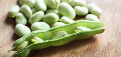 ما فوائد الفول الأخضر