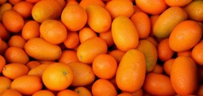 فاكهة الكمكوات