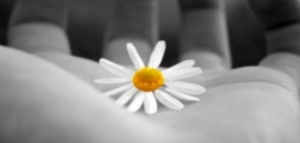 حق الحياة في الإسلام