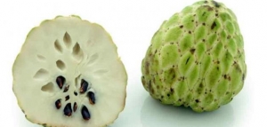 أكل فاكهة القشطة