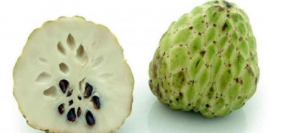 أكل فاكهة القشطة