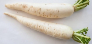 ما فوائد الفجل الأبيض