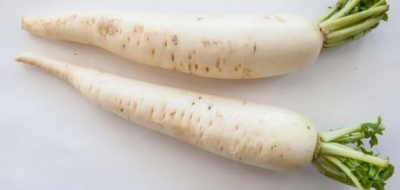 ما فوائد الفجل الأبيض