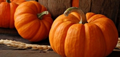 ما هي فوائد القرع