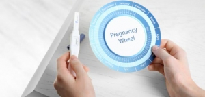 كيف أحسب مدة الحمل