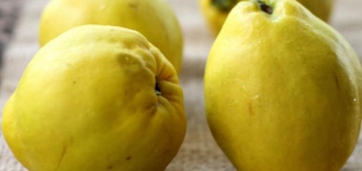 ما فوائد السفرجل