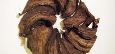 طريقة تجفيف قشر الموز