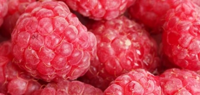 ما هي  فوائد التوت