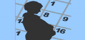 كيفية حساب شهور الحمل