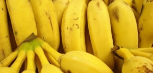 أضرار الموز