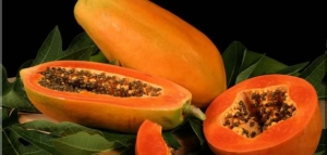 فوائد ثمرة الباباظ