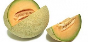 الفرق بين الشمام والخربز