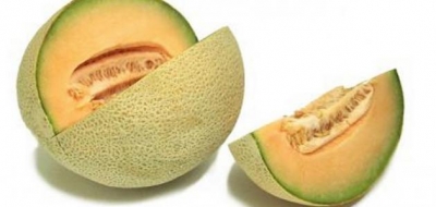 الفرق بين الشمام والخربز