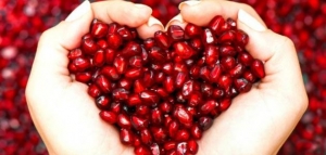 فوائد وأضرار الرمان