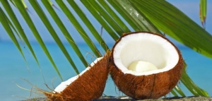 فوائد أكل جوز الهند الطازج