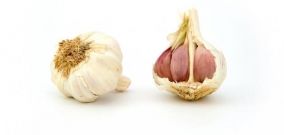 فوائد الثوم للصحة