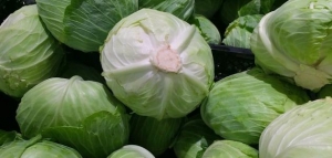 فوائد الملفوف للجسم