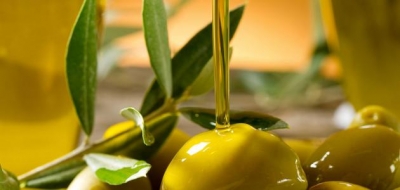 أضرار الزيتون