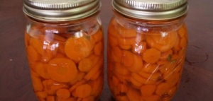 طريقة عمل المانجو الزنجباري