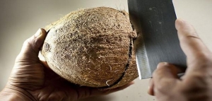 كيف أفتح ثمرة جوز الهند