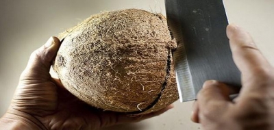 كيف أفتح ثمرة جوز الهند