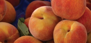 فوائد الخوخ وأضراره