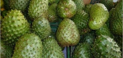 ثمرة غوانابانا