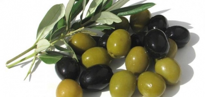 فوائد الزيتون