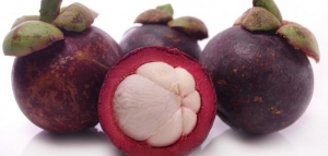 فوائد فاكهة المانجوستين