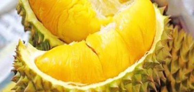 فوائد فاكهة الدوريان