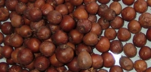 فوائد نبق السدر