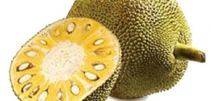 فوائد فاكهة الجاك فروت