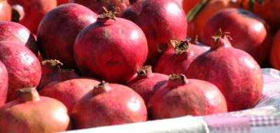 فوائد فاكهة الرمان